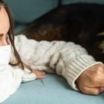 Bad breath in pets
