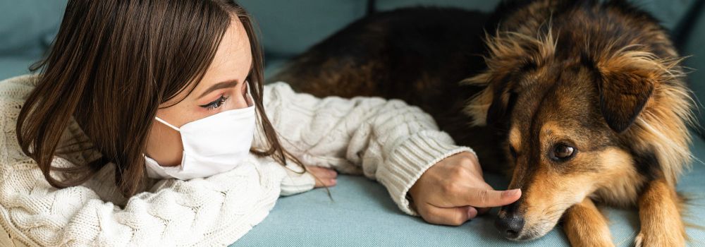 Bad breath in pets